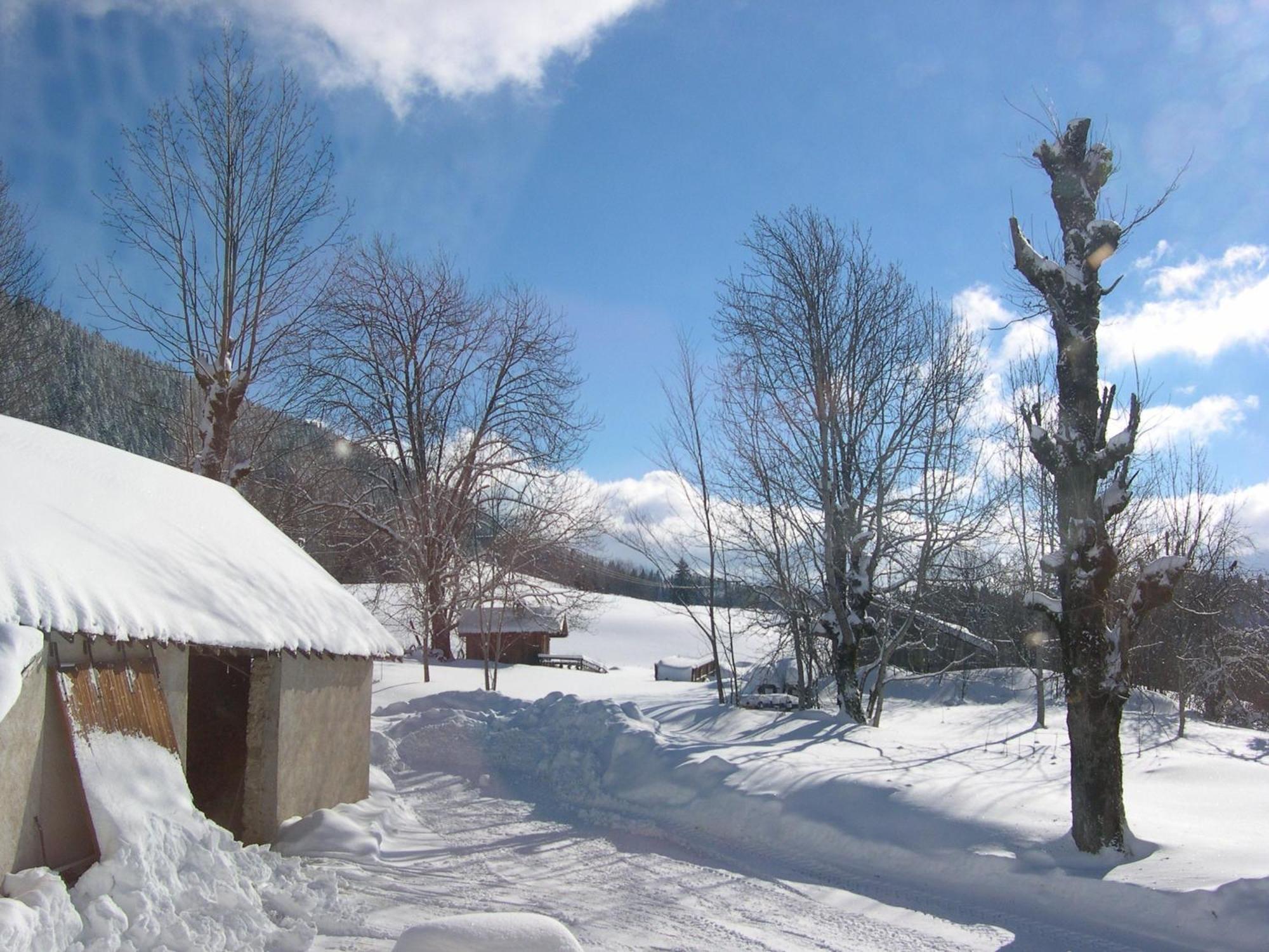 Auberge Des Montauds - Hotel & Restaurant Villard-de-Lans Esterno foto